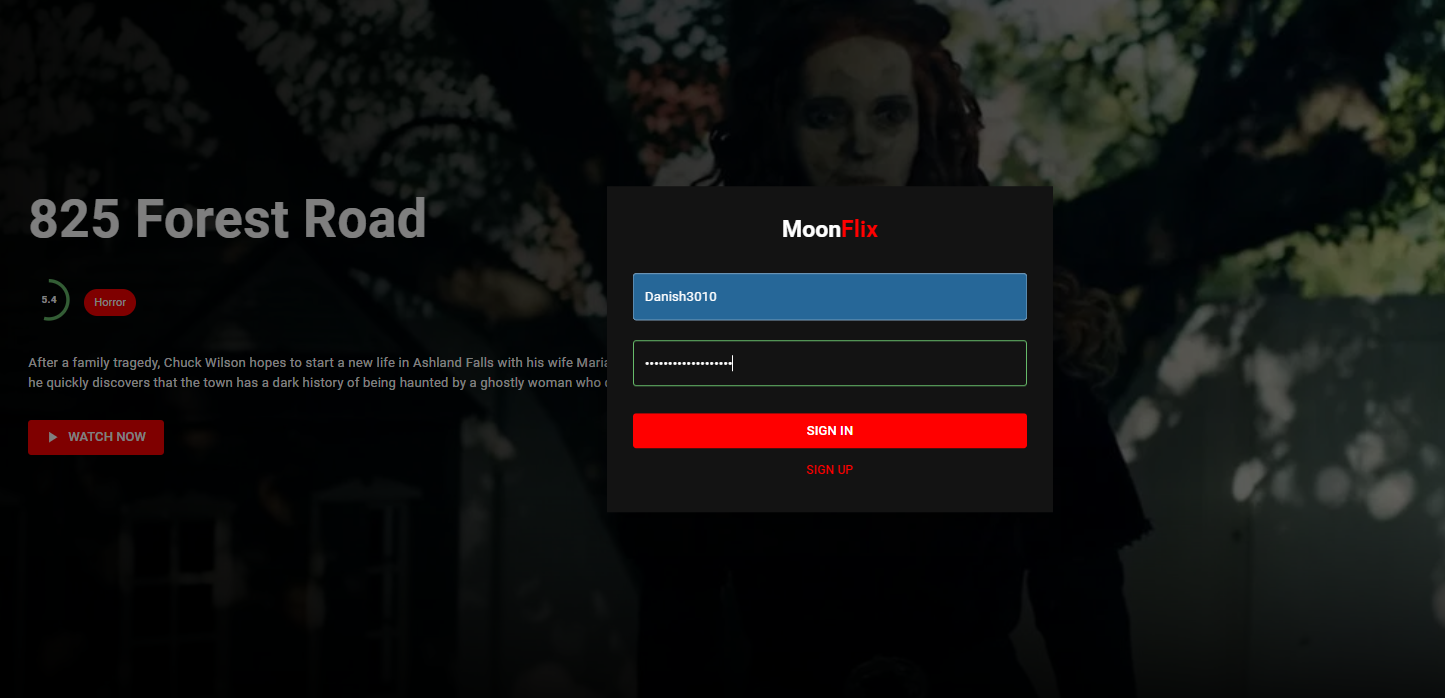 MoonFlix — real application screenshot
